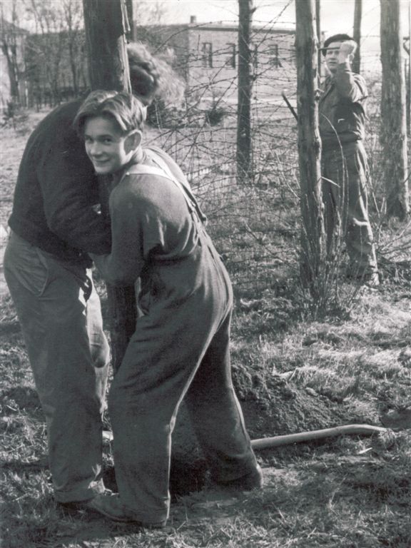 Jugendliche Bewohner des Jugenddorf Adelheide entfernen den Stacheldrahtzaun des Internierungslager (November 1949)